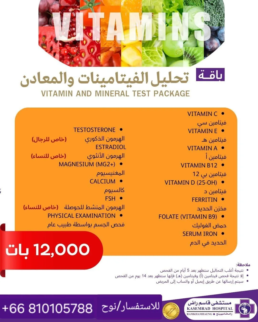 باقة تحليل الفيتامينات والمعادن
